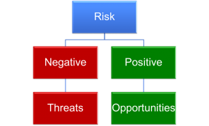 How to Manage Risks on Projects?
