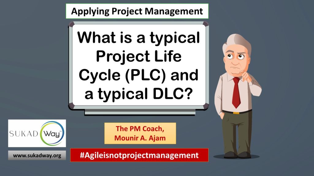 What is a project life cycle and how does it relate to a DLC?
