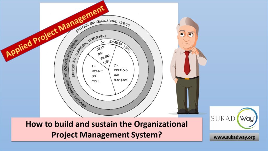 How to build and sustain the organizational project management system?