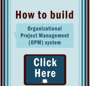 Is building a PMO the right answer or do we need OPM?