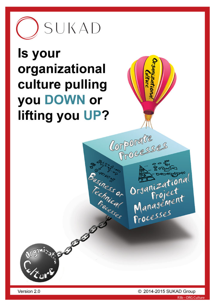 Is your organization culture lifting you up or holding you down? | The current dire straits of project management