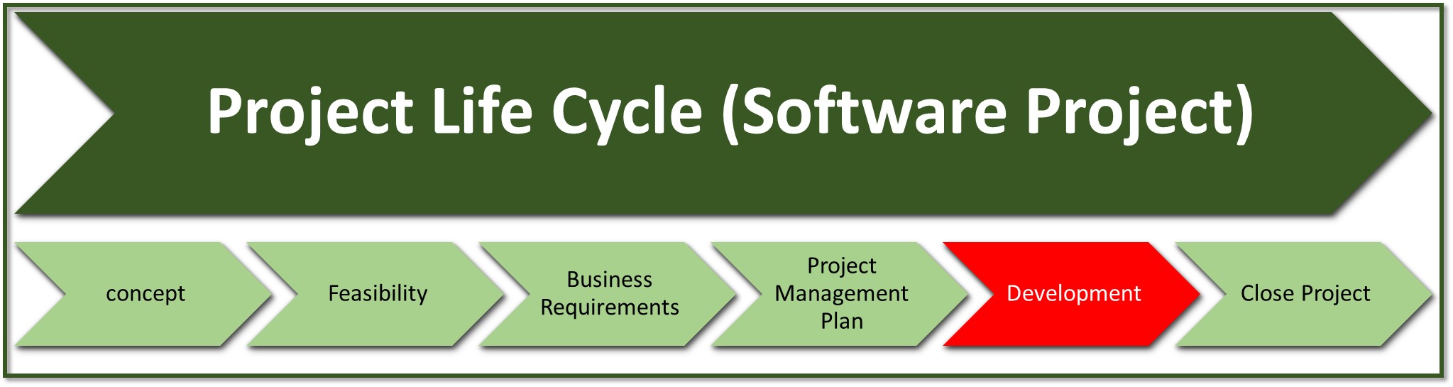 Is this a software project or a business project?