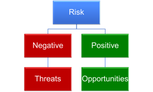 What are the common gaps in the practice of project risk management?